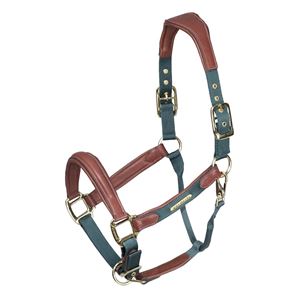 Shires Velociti Lusso Padded Leather Headcollar (Green)