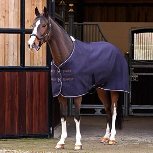 Tempest Original Waffle Rug (Navy)