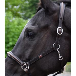 Rhinegold Rocco Italia Verona Leather Headcollar