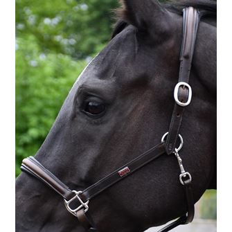 Rhinegold Rocco Italia Verona Leather Headcollar