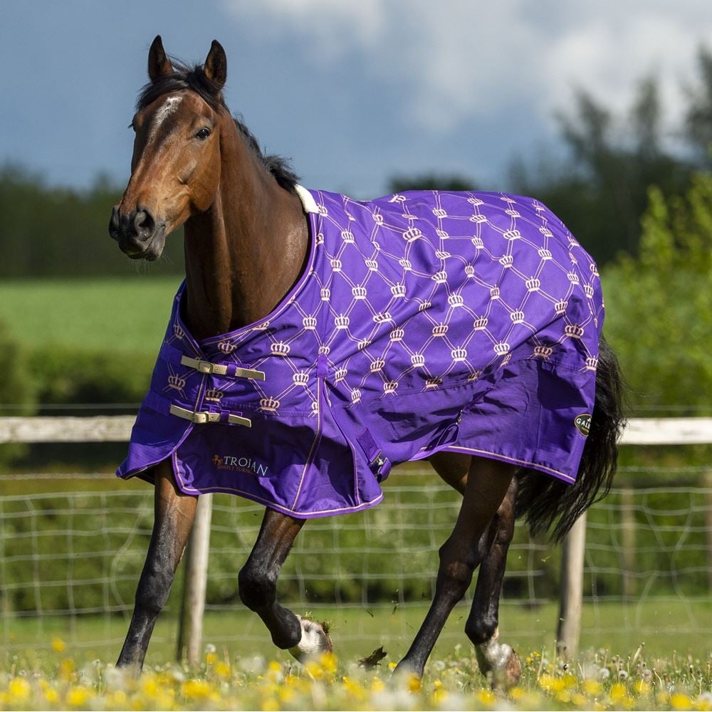 Gallop Trojan Monarch 100 Turnout (Purple Crown)