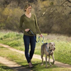 Halti Walking Harness - Small