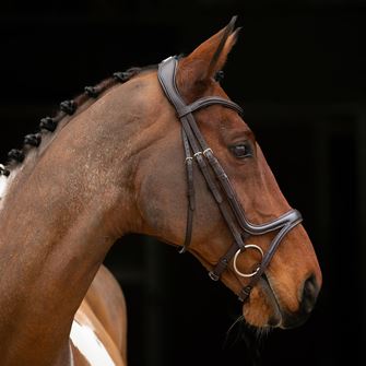 Shires Velociti Lusso Comfort Flash Bridle (Havana)