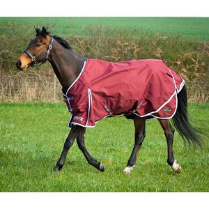 Gallop Trojan Xtra Lightweight Turnout Combo (Burgundy/White & Purple)