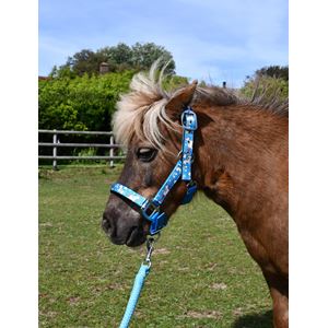 Rhinegold Unicorn Padded Headcollar And Matching Lead Rope Set