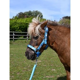 Rhinegold Unicorn Padded Headcollar And Matching Lead Rope Set