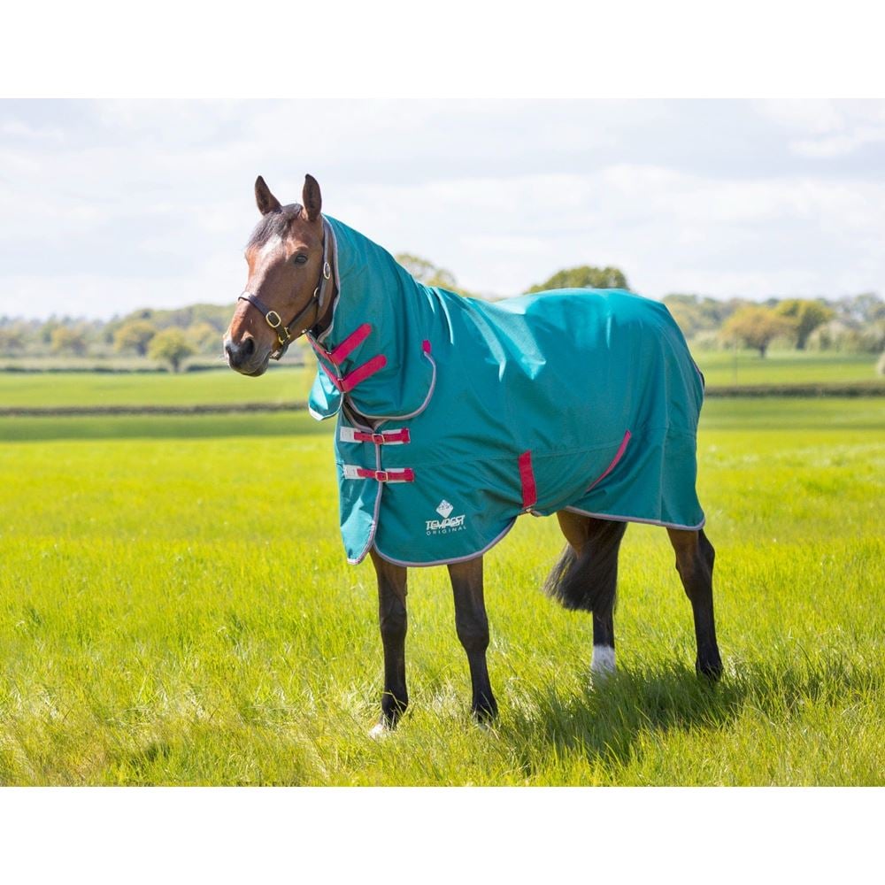 Shires Tempest Original Air Motion Combo Lightweight Turnout Rug