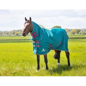 Shires Tempest Original Air Motion Combo Lightweight Turnout Rug