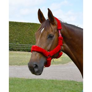 Rhinegold Fur Trim Headcollar (Red)