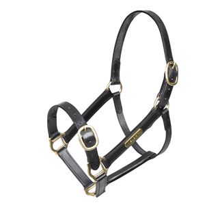 Shires Velociti GARA Fully Adjustable Leather Headcollar (Black)