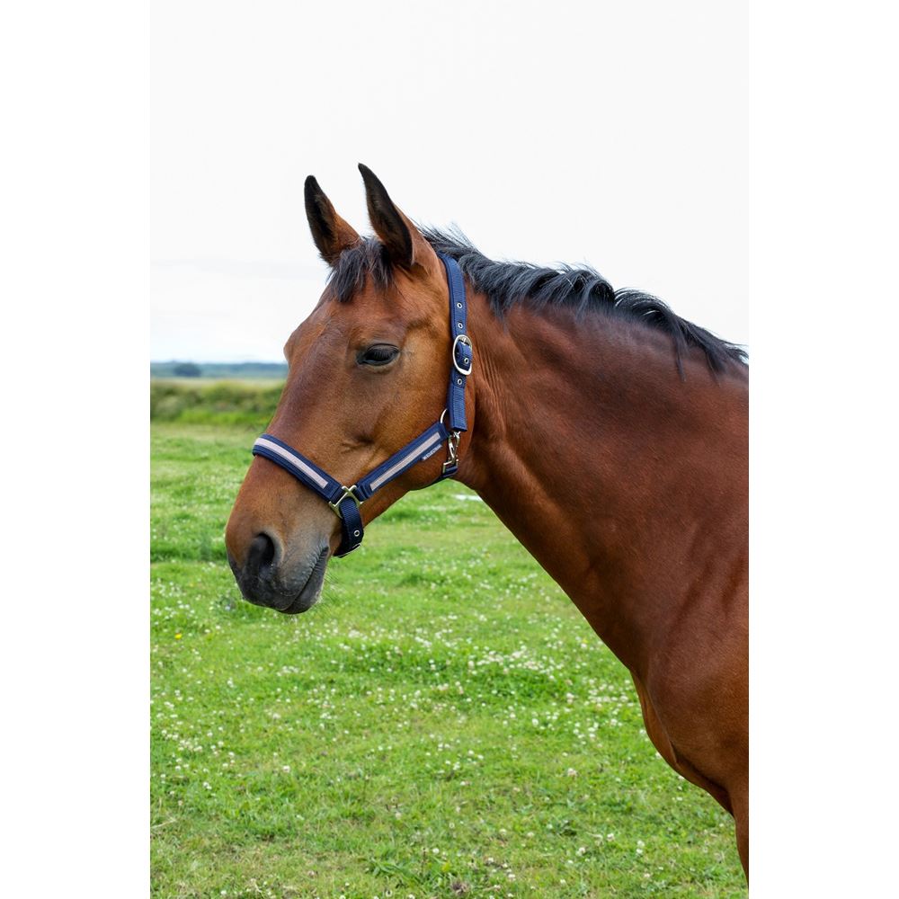 Hy Equestrian Mystic Head Collar (Navy/Rose Dust)