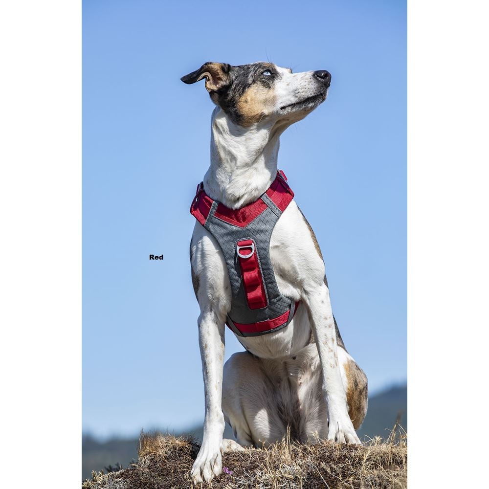 Kurgo Journey Air Harness