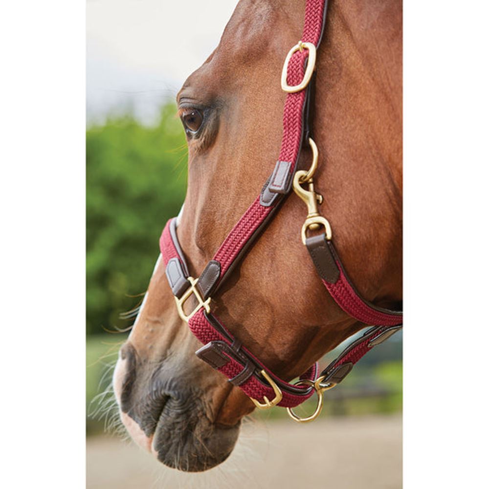 Kincade Braided Leather Headcollar