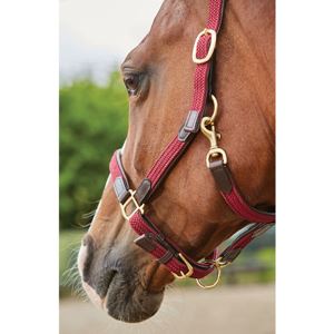 Kincade Braided Leather Headcollar