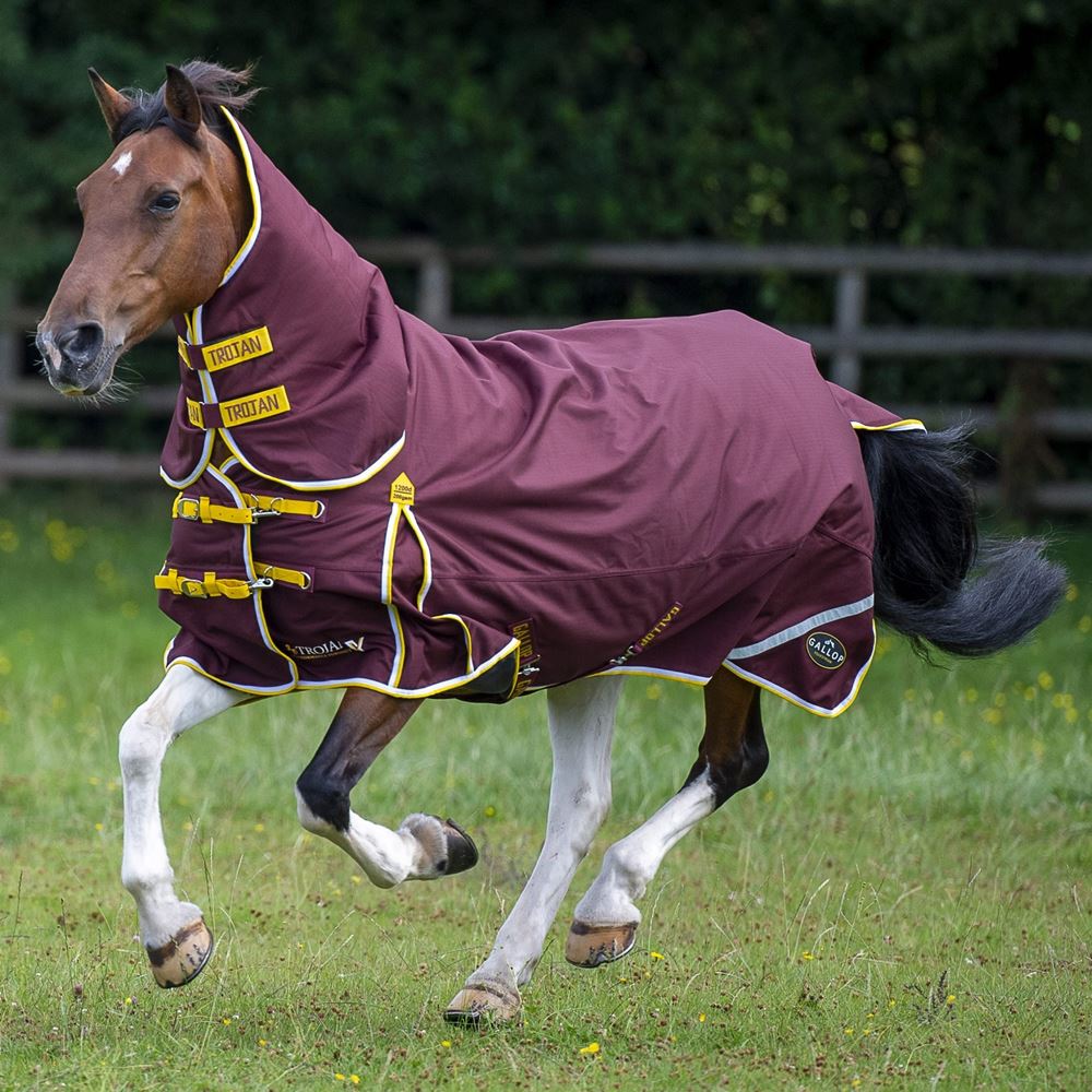 Gallop Trojan Xtra 200 Turnout Combo (Burgundy/White & Yellow)