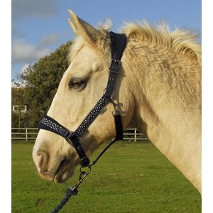 Rhinegold Star Spangled Headcollar & Rope Set (Navy)