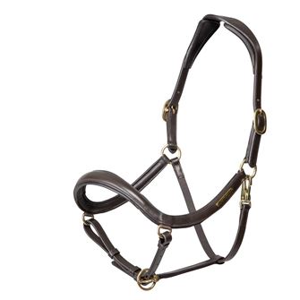 Shires Velociti Rapida Curved Leather Headcollar (Havana)