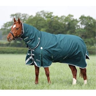 Shires Highlander Original 300 Turnout Rug & Neck Set (Green)