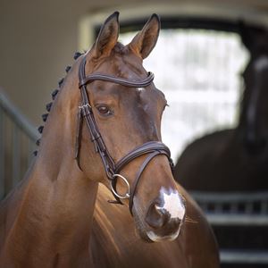 **barcodes/brand*Shires Lusso Padded Raised Flash Bridle (Havana)