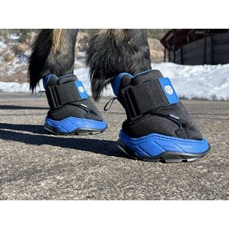 Easyboot RX2 Hoof Therapy Boot (Sizes 000-3)