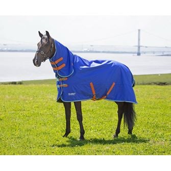 Shires Tempest Original 50g Combo Turnout Rug (Royal)