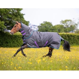 Shires Tempest Original 300g Turnout Rug & Neck Set (Black)