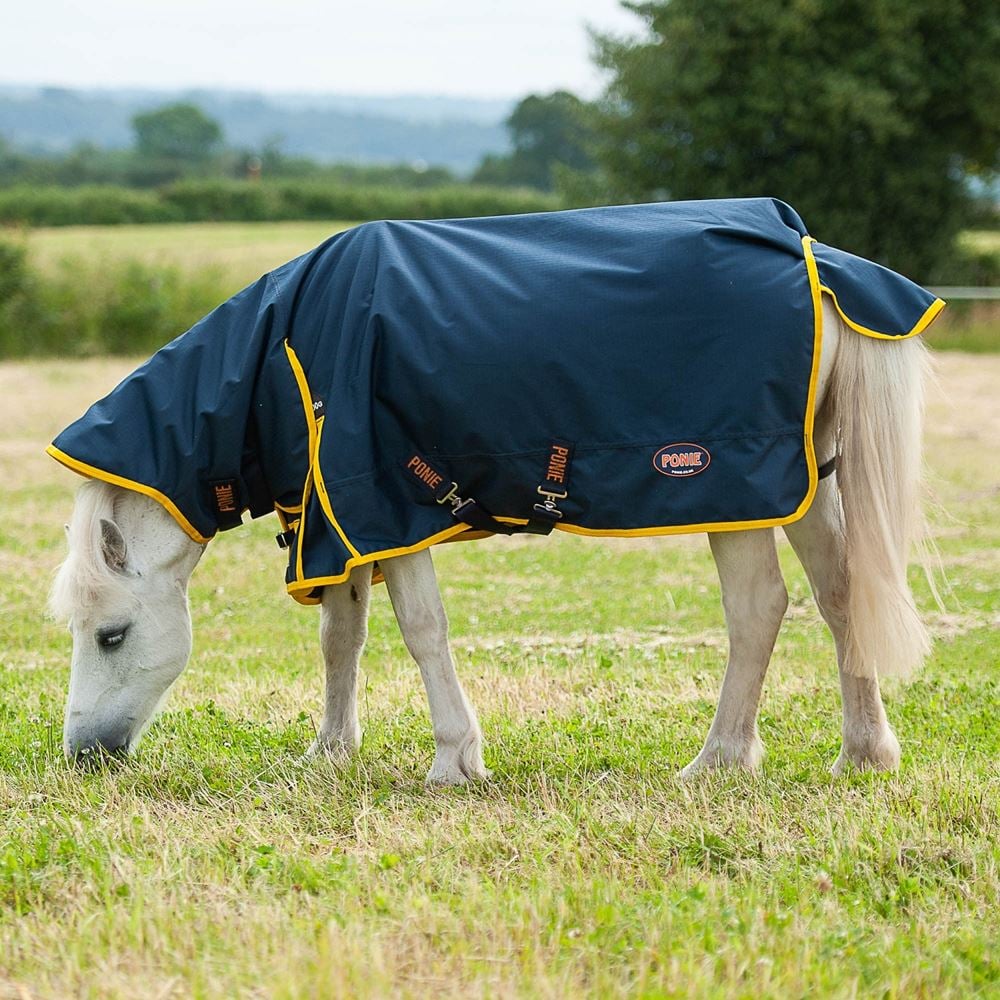 Gallop Ponie 200 Combo Turnout Rug - 200g (Navy/Yellow)