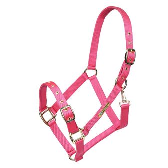 Shires ARMA Adjustable Headcollar (Pink)