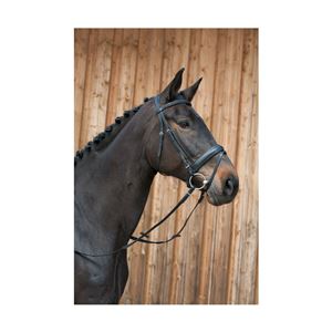 Kieffer Ergonomic Line III Snaffle Bridle