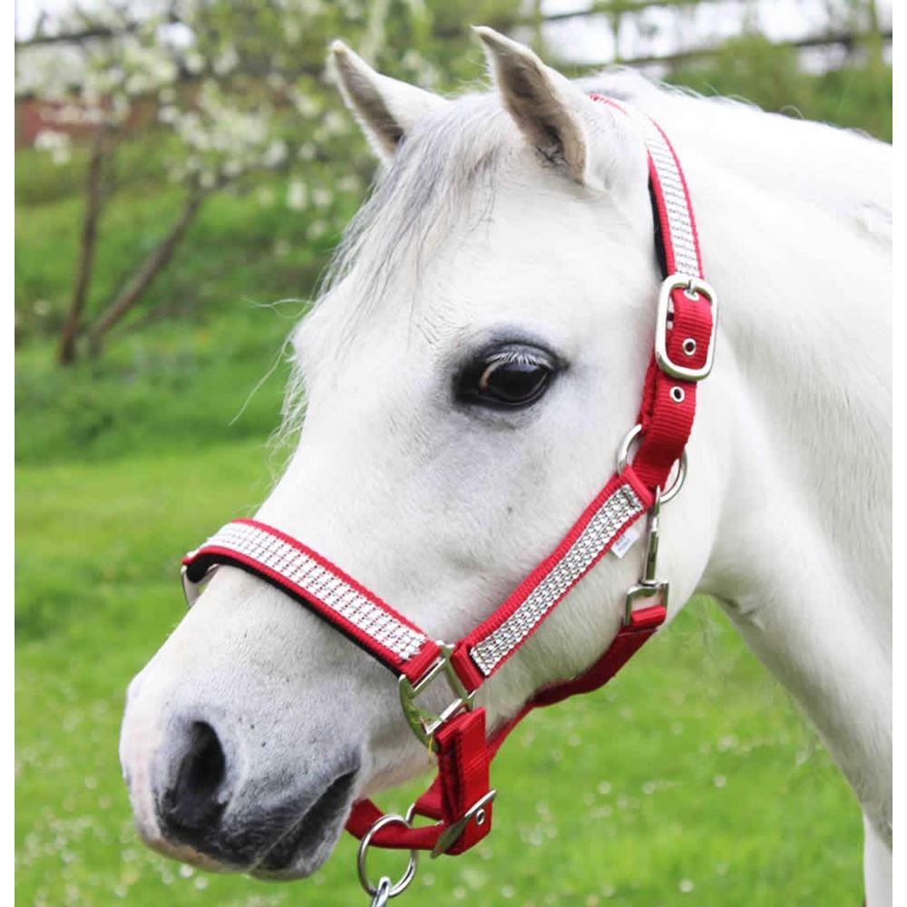 Gallop Diamante Padded Headcollar (Red)