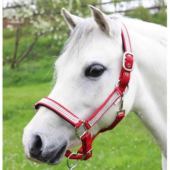 Gallop Diamante Padded Headcollar (Red)