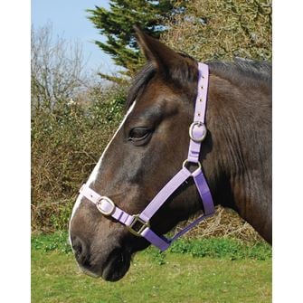 Rhinegold Nylon Headcollar (Lilac)