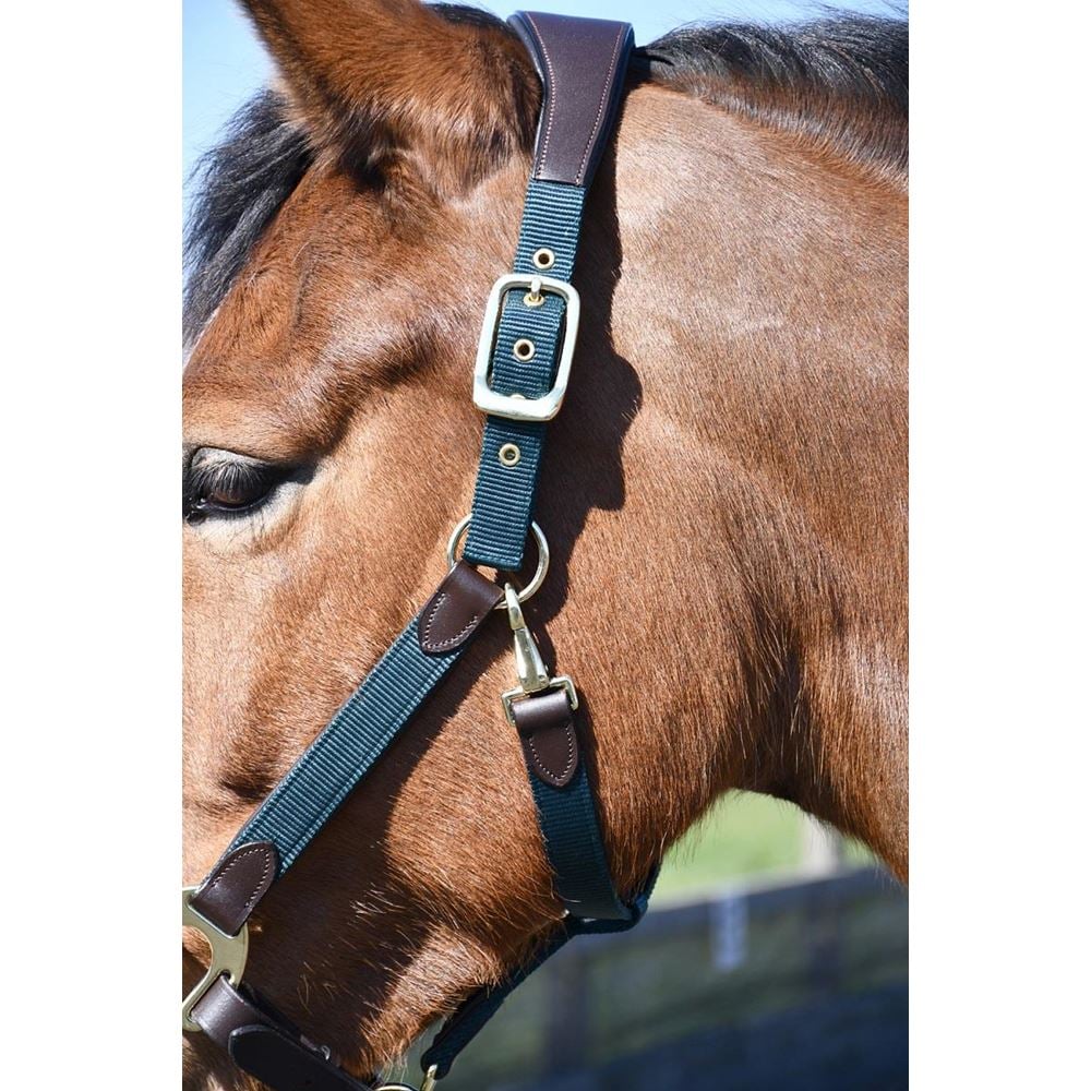 Heritage Anatomical Leather-Lined Headcollar (Green)