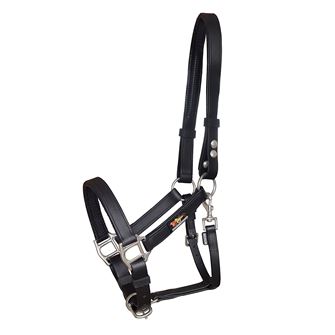 Equilibrium Stellar Headcollar