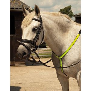 Harlequin Reflective Martingale (Reflective Yellow)