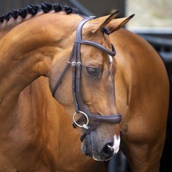 Shires Velociti LUSSO Ergonomic Curved Flash Bridle (Havana)