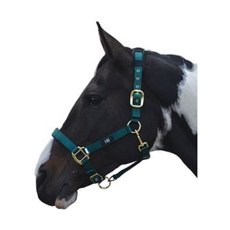 Hy Equestrian Deluxe Padded Head Collar