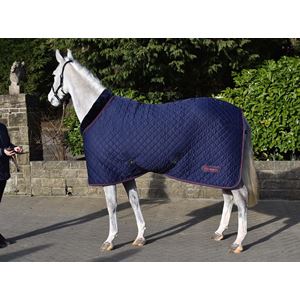 Whitaker Rastrick Cosy Stable Rug (Navy)