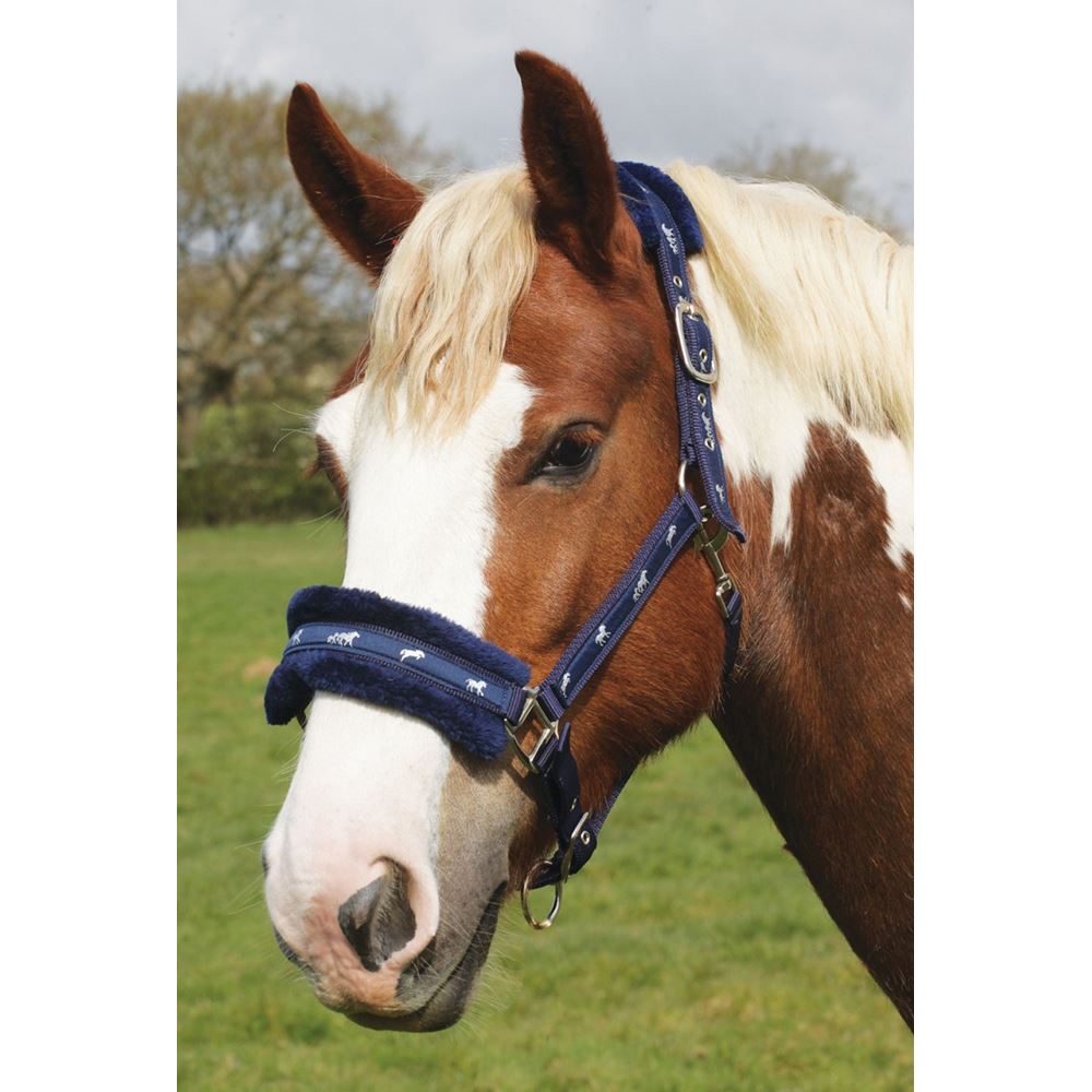 Rhinegold Padded Logo Headcollar (Navy)