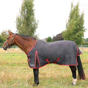 Hy Equestrian HYCONIC 0g Turnout Rug (Charcoal/Red)