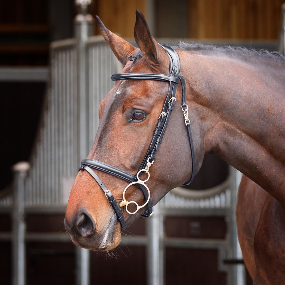 Shires Velociti Rapida Training Bridle (Black)