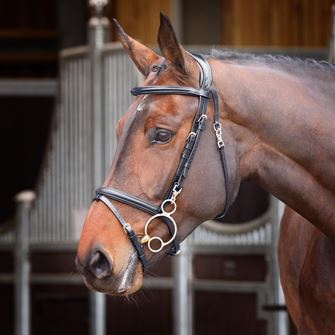 Shires Velociti Rapida Training Bridle (Black)