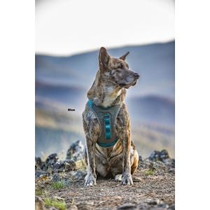 Kurgo Journey Air Harness