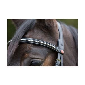 Kieffer Ultrasoft Snaffle Bridle