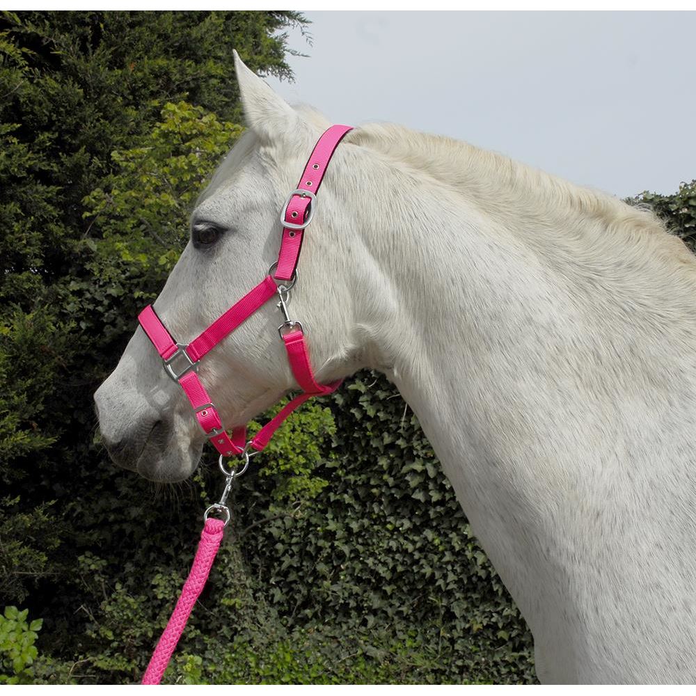 Rhinegold Carnival Headcollar & Lead Rope Set (Bright Pink)