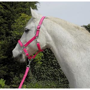 Rhinegold Carnival Headcollar & Lead Rope Set (Bright Pink)