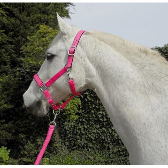 Rhinegold Carnival Headcollar & Lead Rope Set (Bright Pink)