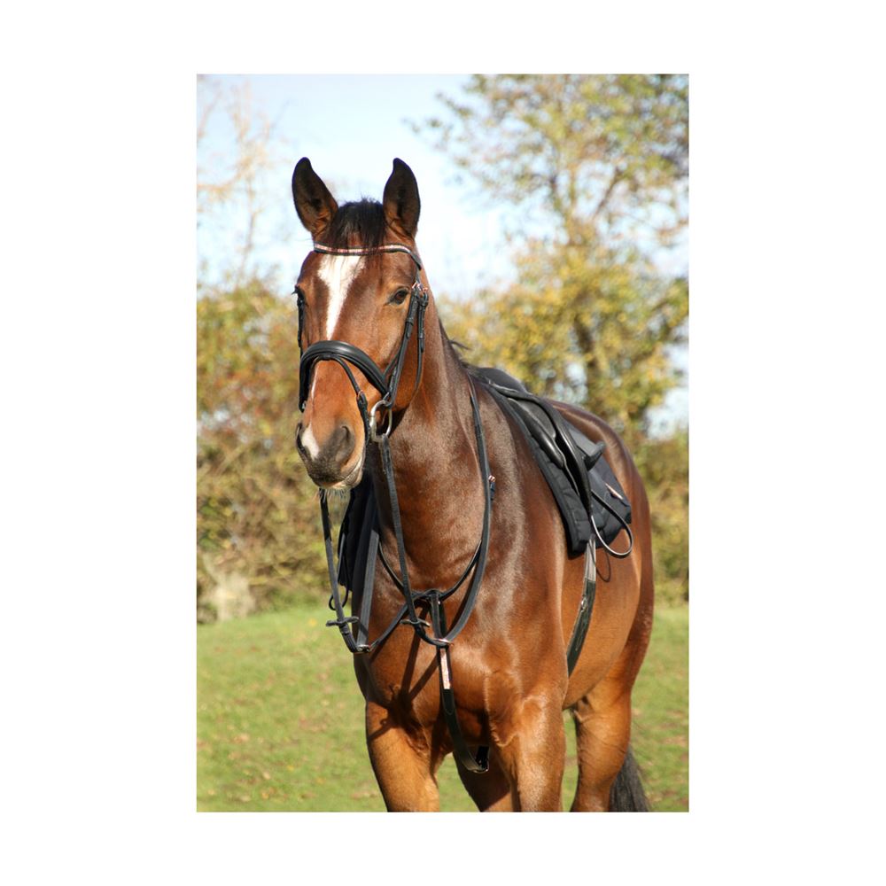 Hy Equestrian Rosciano Rose Gold Bridle (Brown)