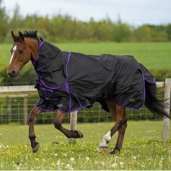 Gallop Trojan Dual Lightweight Turnout Rug & Neck Set (Black/Purple)