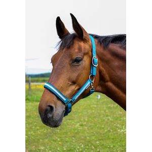 Hy Equestrian Mystic Head Collar (Teal/SilverDust)